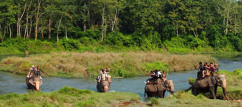 Chitwan Jungle Safari