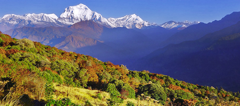 Ghorepani Poonhill trek