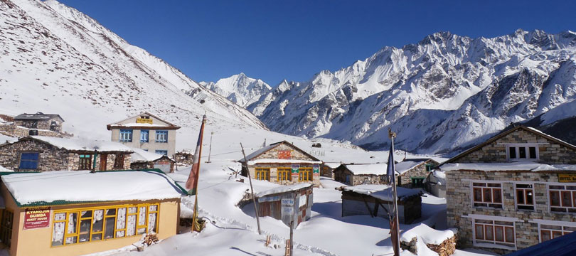 Langtang Valley Trekking